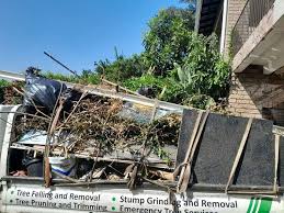 Best Attic Cleanout  in South Pekin, IL