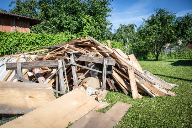 Best Shed Removal  in South Pekin, IL