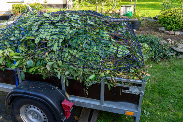 Best Estate Cleanout  in South Pekin, IL